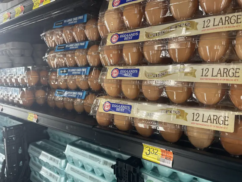 dreamstime_s_294558239