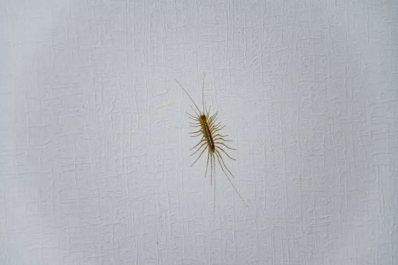 dreamstime_s_356673417