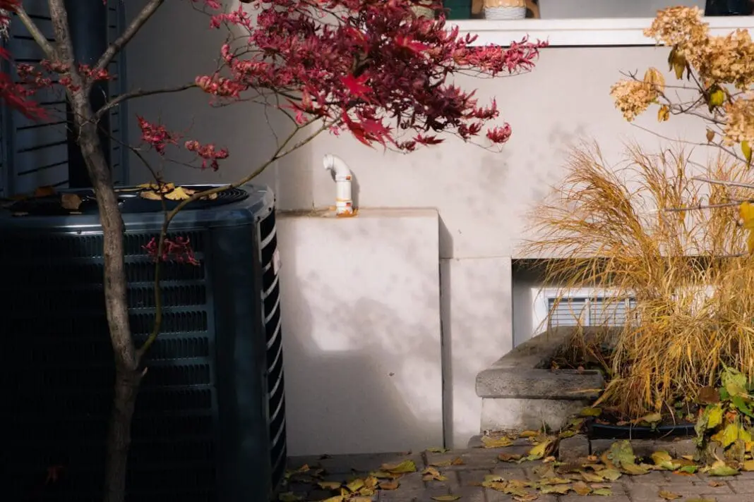 Autumn leaves and dry grass by a building